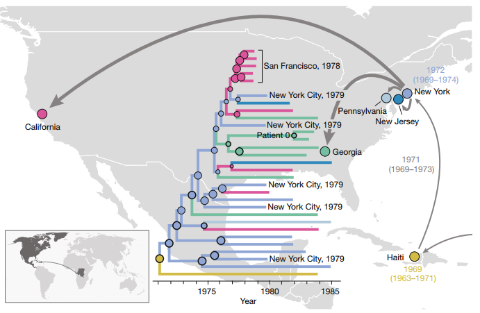 HIV Phylogeny